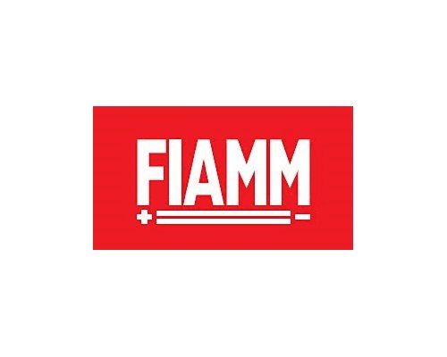 Logo - Fiamm