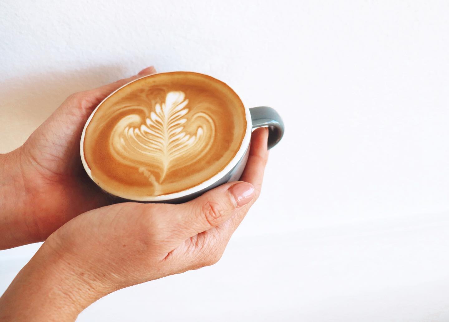 Holding A Cup Of Coffee — A Nice Café in Nelson Bay
