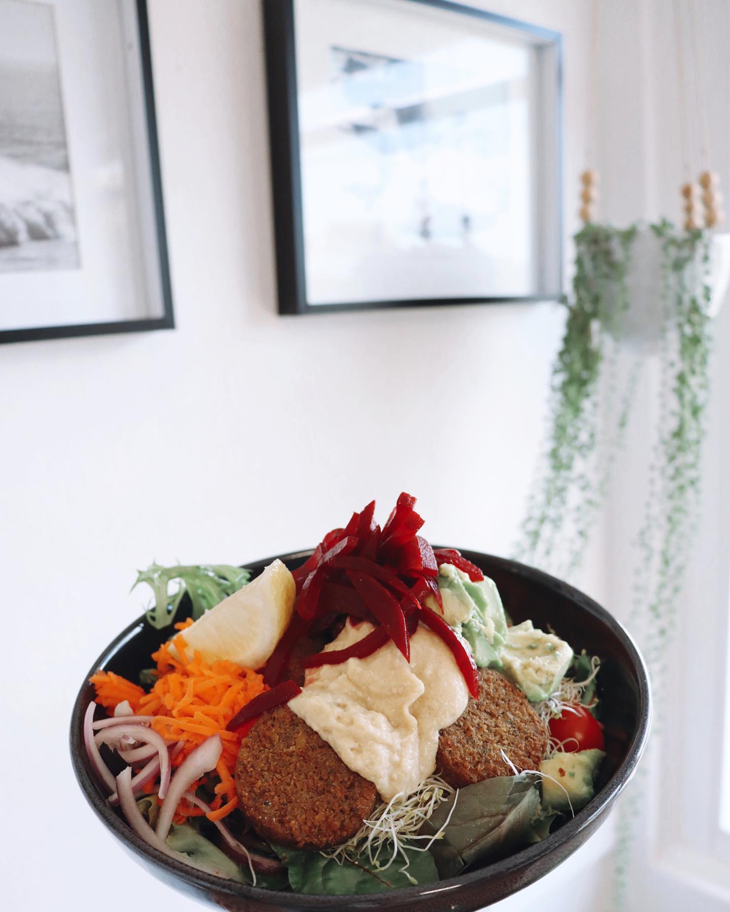 Vegan Falafel Bowl — A Nice Café in Nelson Bay