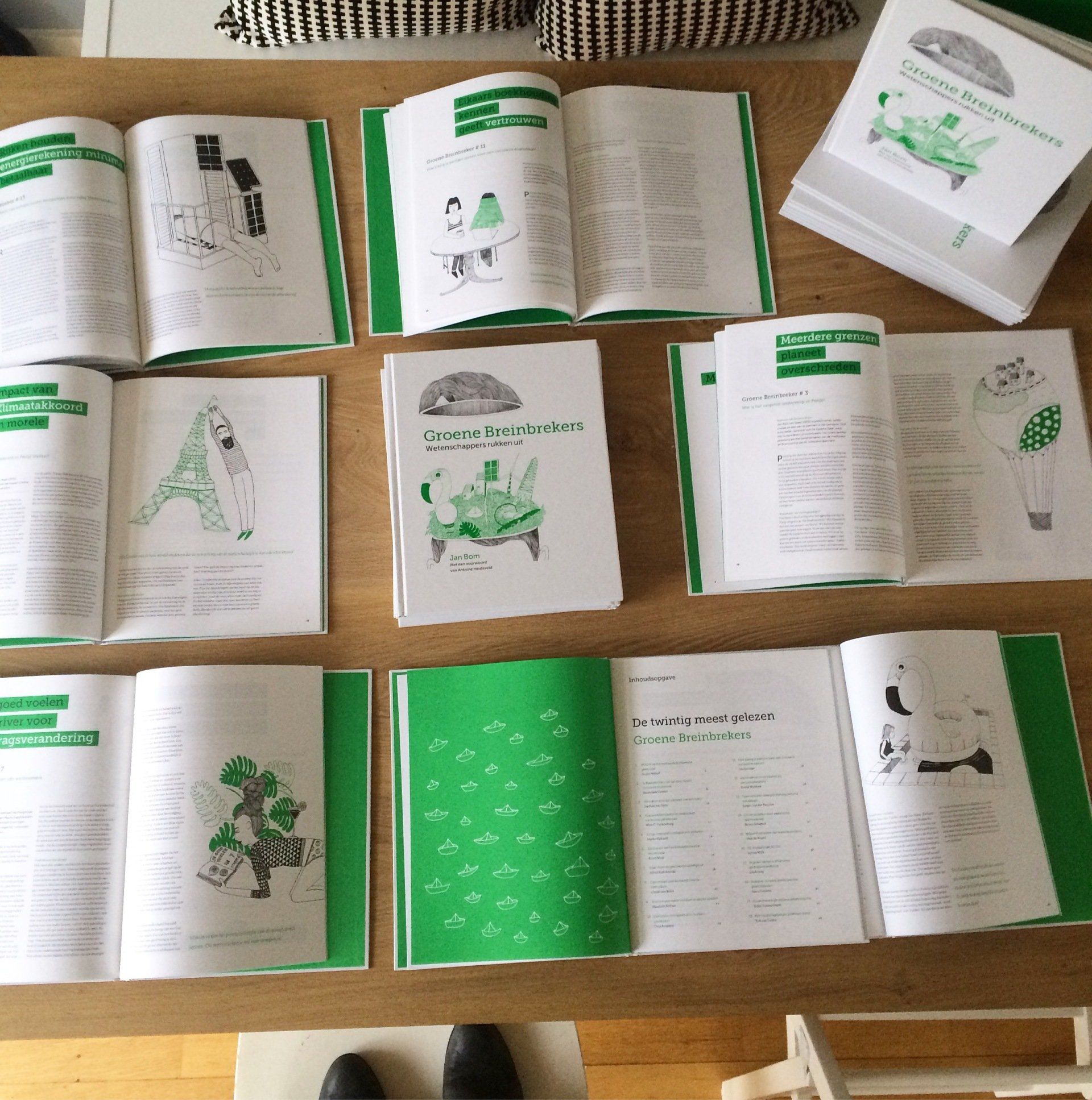 Boekillustraties laten maken