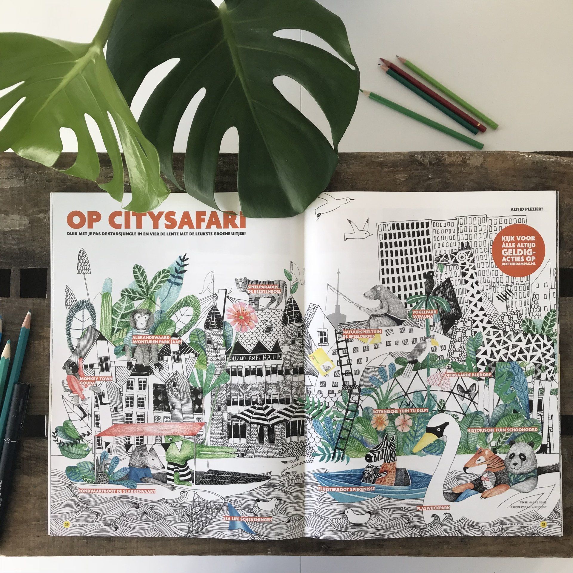 magazine illustratie in kleur, handgetekend