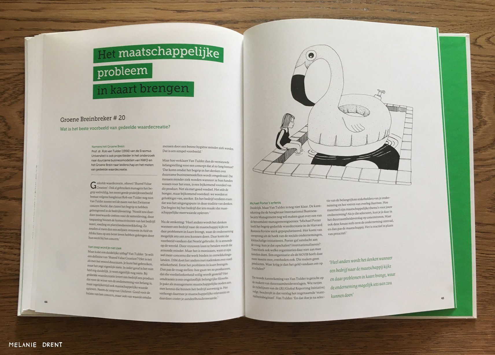 illustratie in bok laten maken
