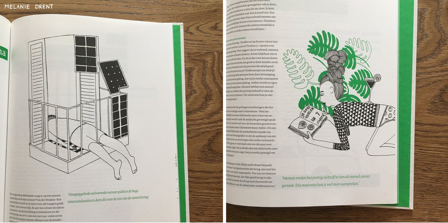 close-up van boekillustratie
