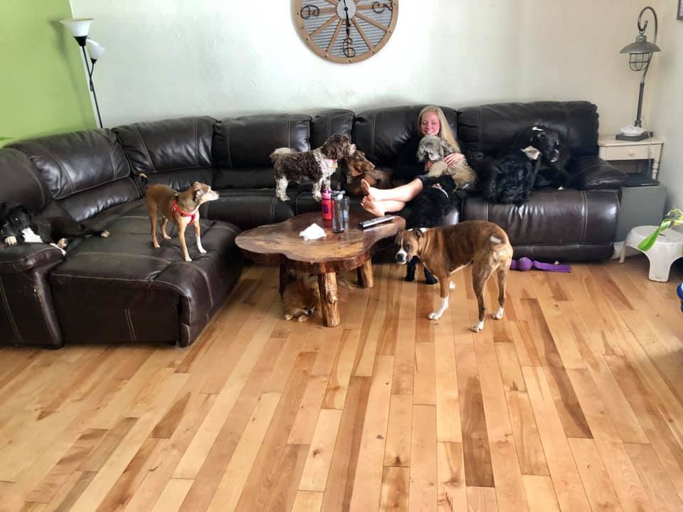 Pine Lake Dog Boarding
