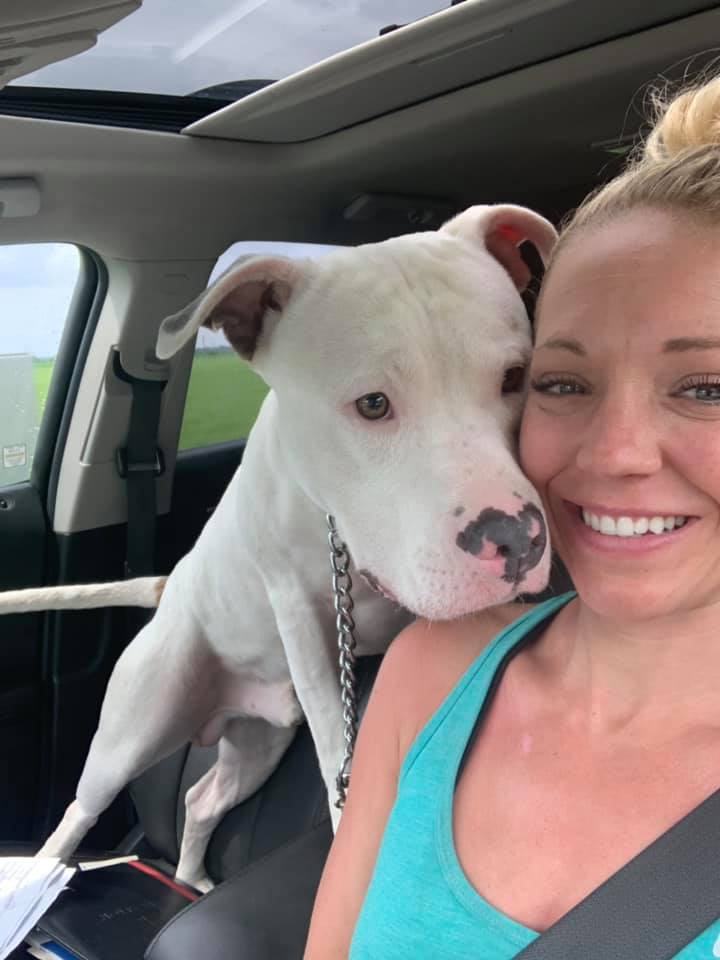 Owner with Dog