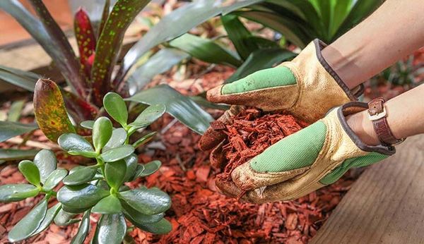 Gardening — Sand & Gravel in Murgon, QLD