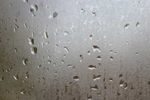 Window Condensation