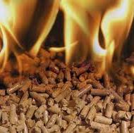 olijve pellet,beste pellets,houtpellets,duitsland,goedkope pellets