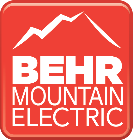 Company Logo in Color