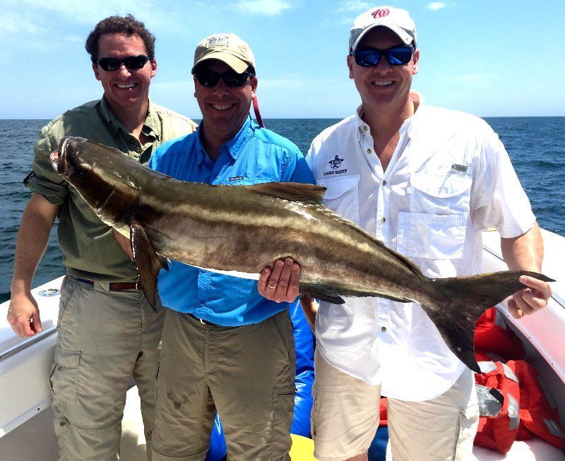 Three men on a boat, holding up a large fish with dark stripes. Blue sky and water in the background.