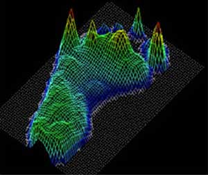 3D assessment of dynamic foot forces