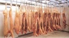 moduli refrigerati, frigomedicali, conservazione vaccini moduli refrigerati, frigomedicali, conservazione vaccini