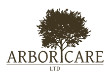 Arboricare