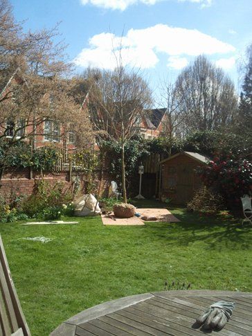 Call us today on 01823 462972 or 07831 108445 Saplings turn into forests
