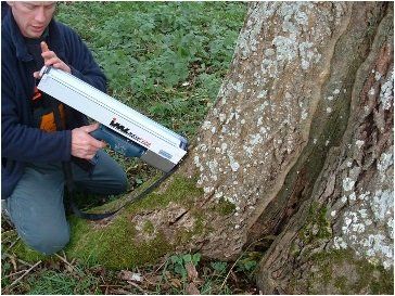 Tree surveying and report writing