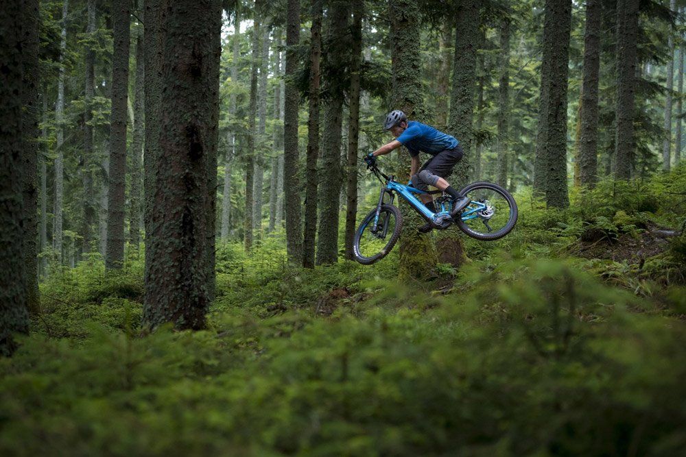 Blue E-Bike with a cyclist on a Forrest