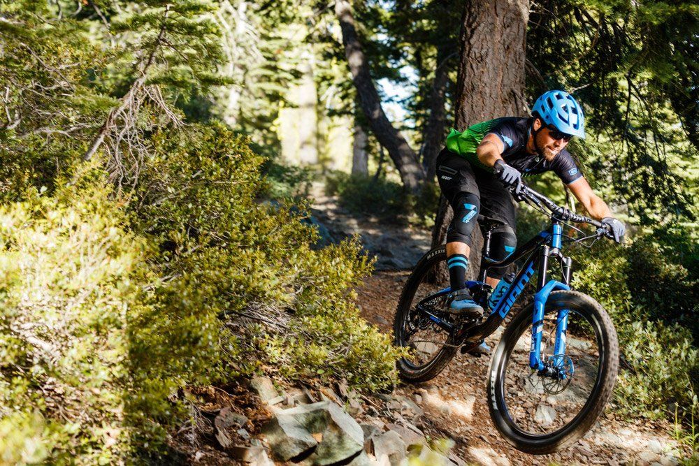 Blue Giant Mountain Bike on the forrest