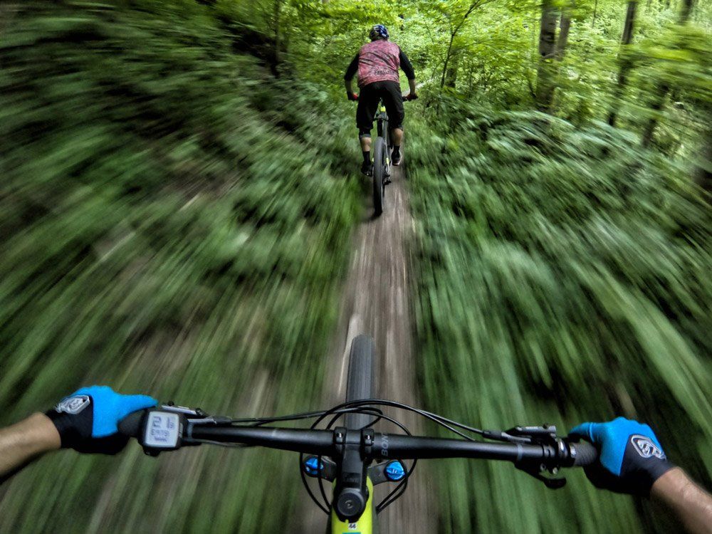 Yellow Trek Mountain Bike in the forrest
