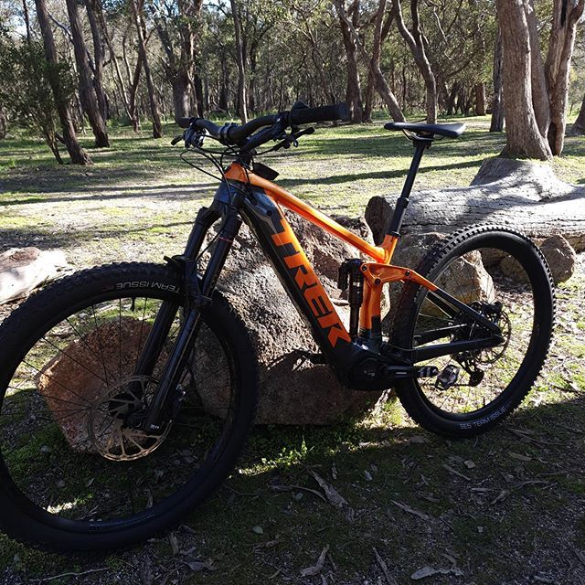 Orange and black Trek mountain bike leans against a rock in a wooded area.