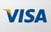 A close up of a visa logo on a white background.