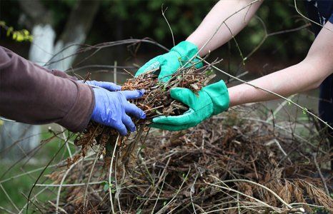 Garden waste