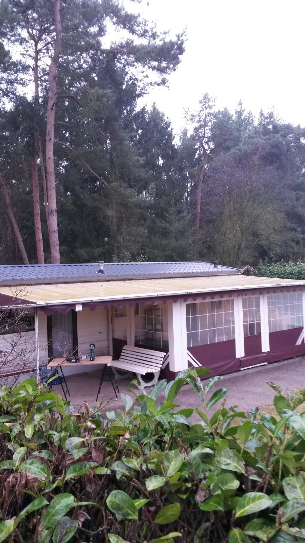 Vacationcare bomen