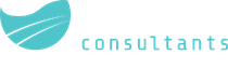 AMC Consultants - Mining Expert