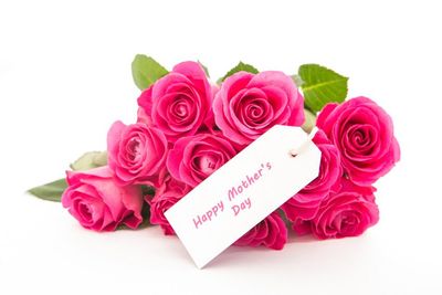 Gardening Services - Helston, Cornwall - Pixies Hall Pet and Garden Services - Gardening Gardening