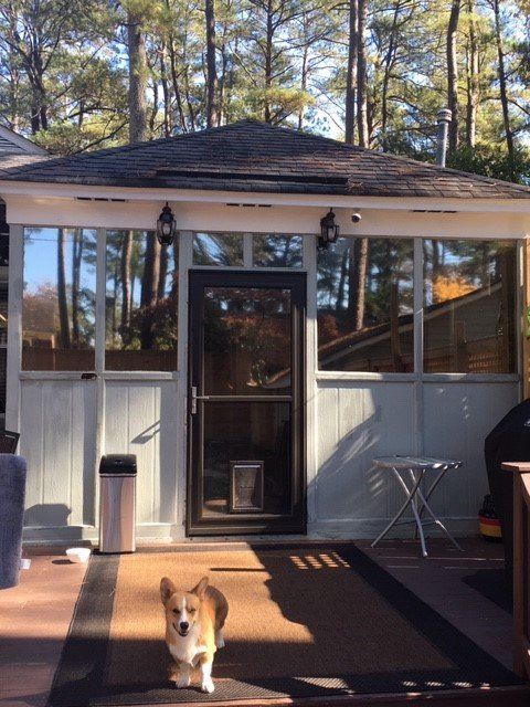 residential window tinting Near me