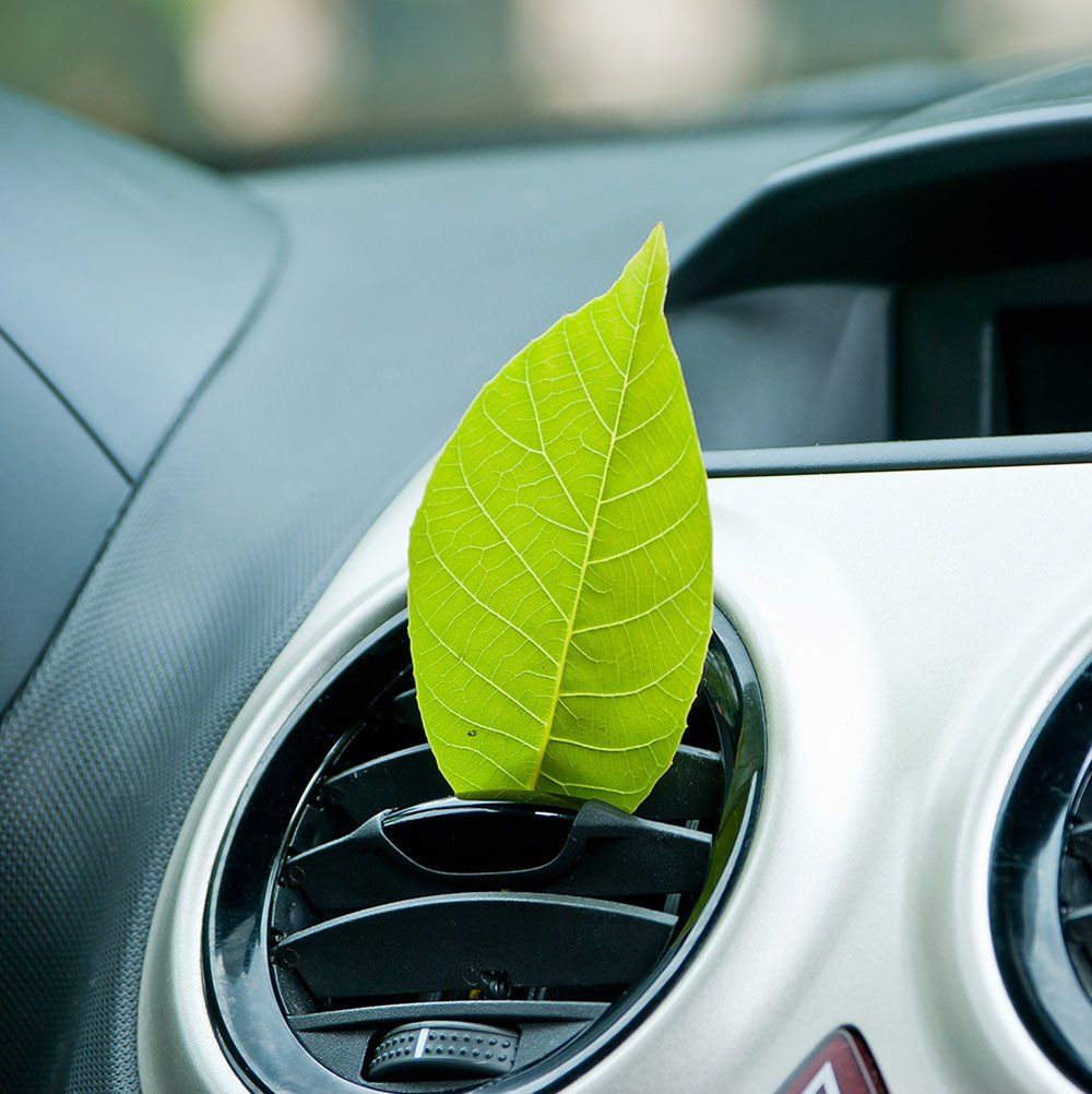 Smaku neitralizācija salonā