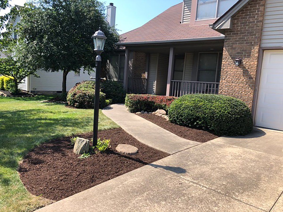 Landscaping infront of house