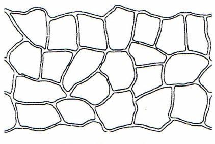 concrete tile design blueprint