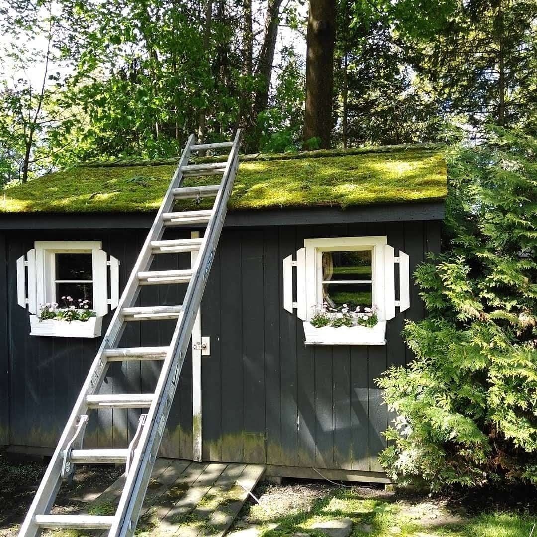 roof maintenance