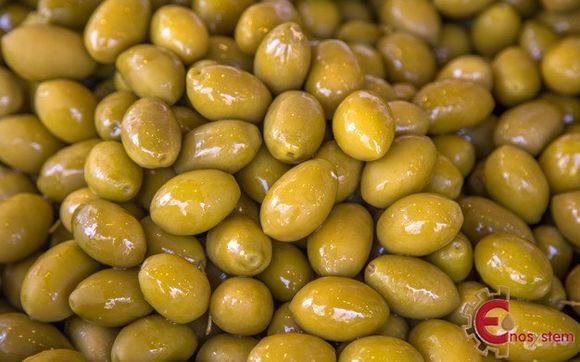 olive