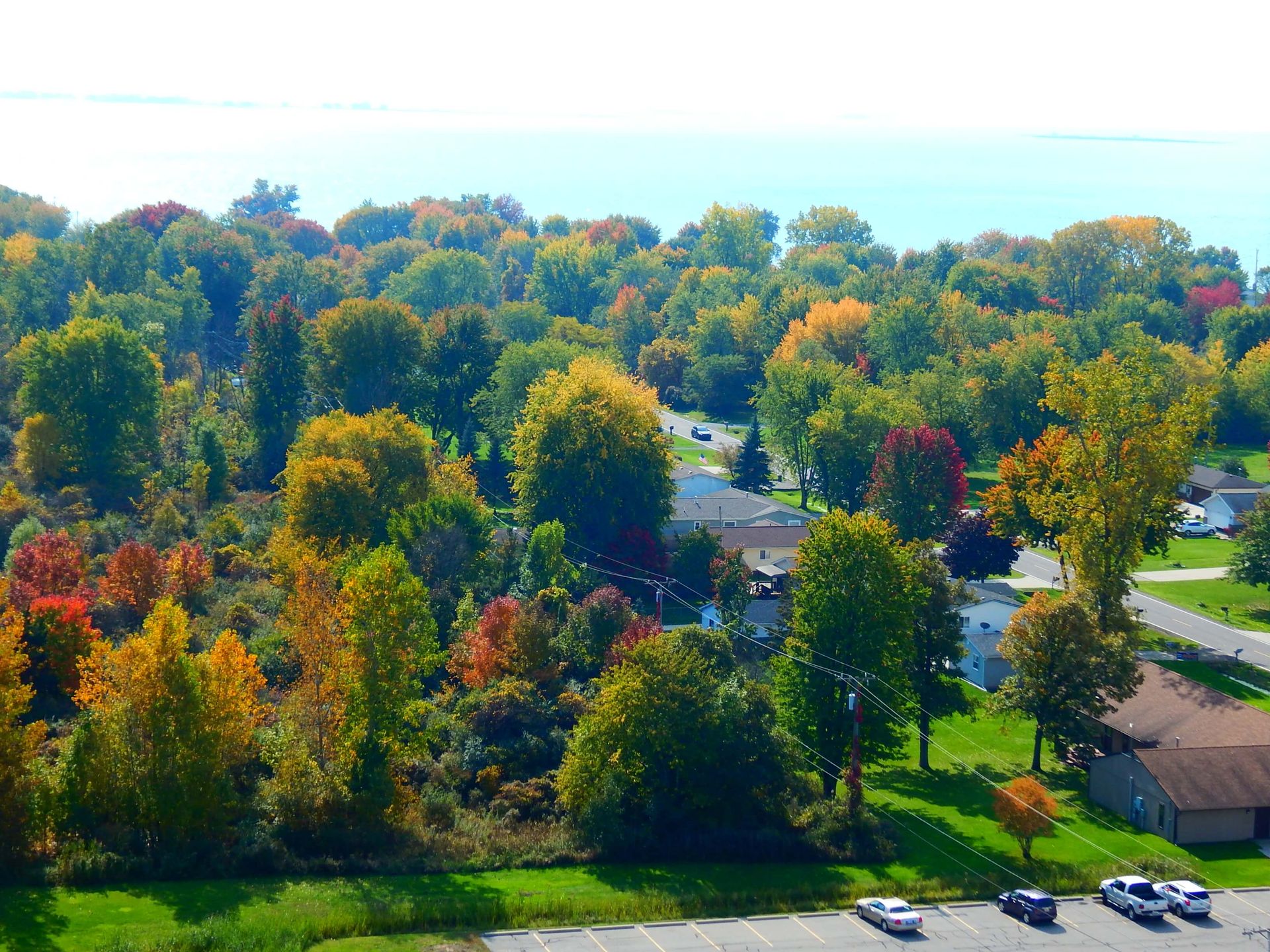 Cars are parked in a parking lot in front of a lush green forest.