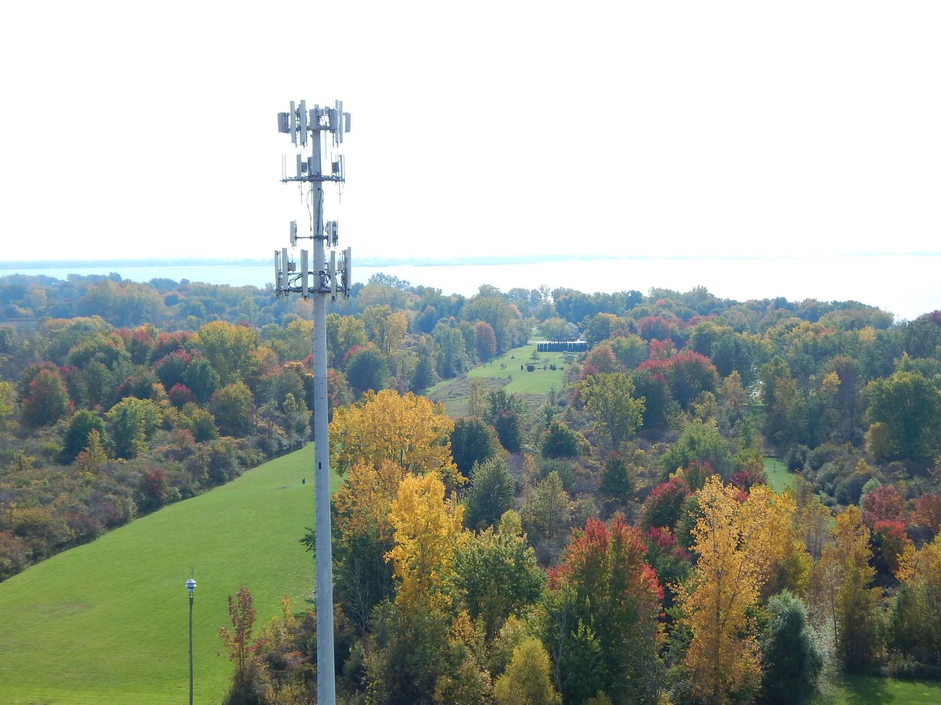 A cell phone tower in the middle of a forest.