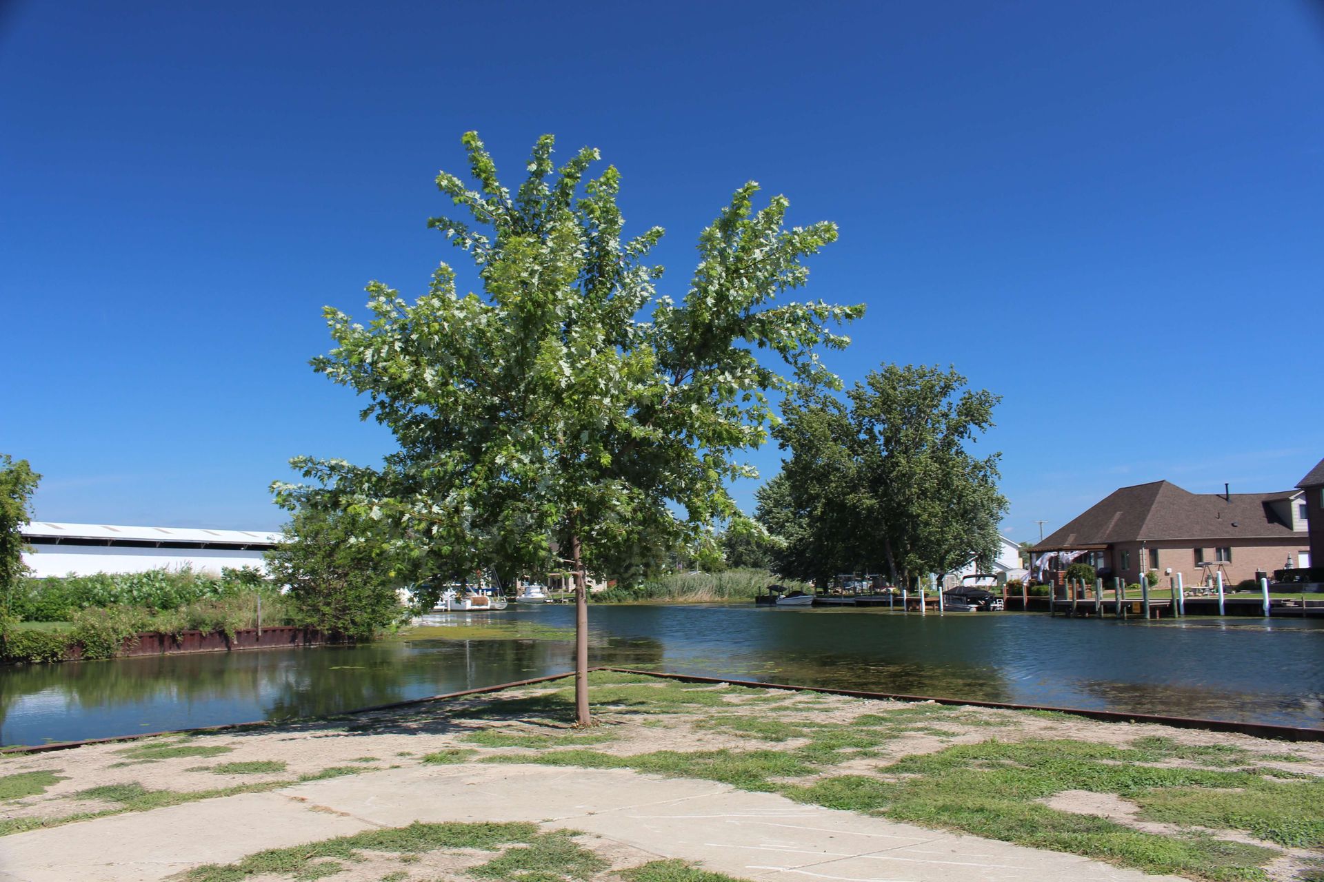 A lake with a house in the background and two trees in the foreground