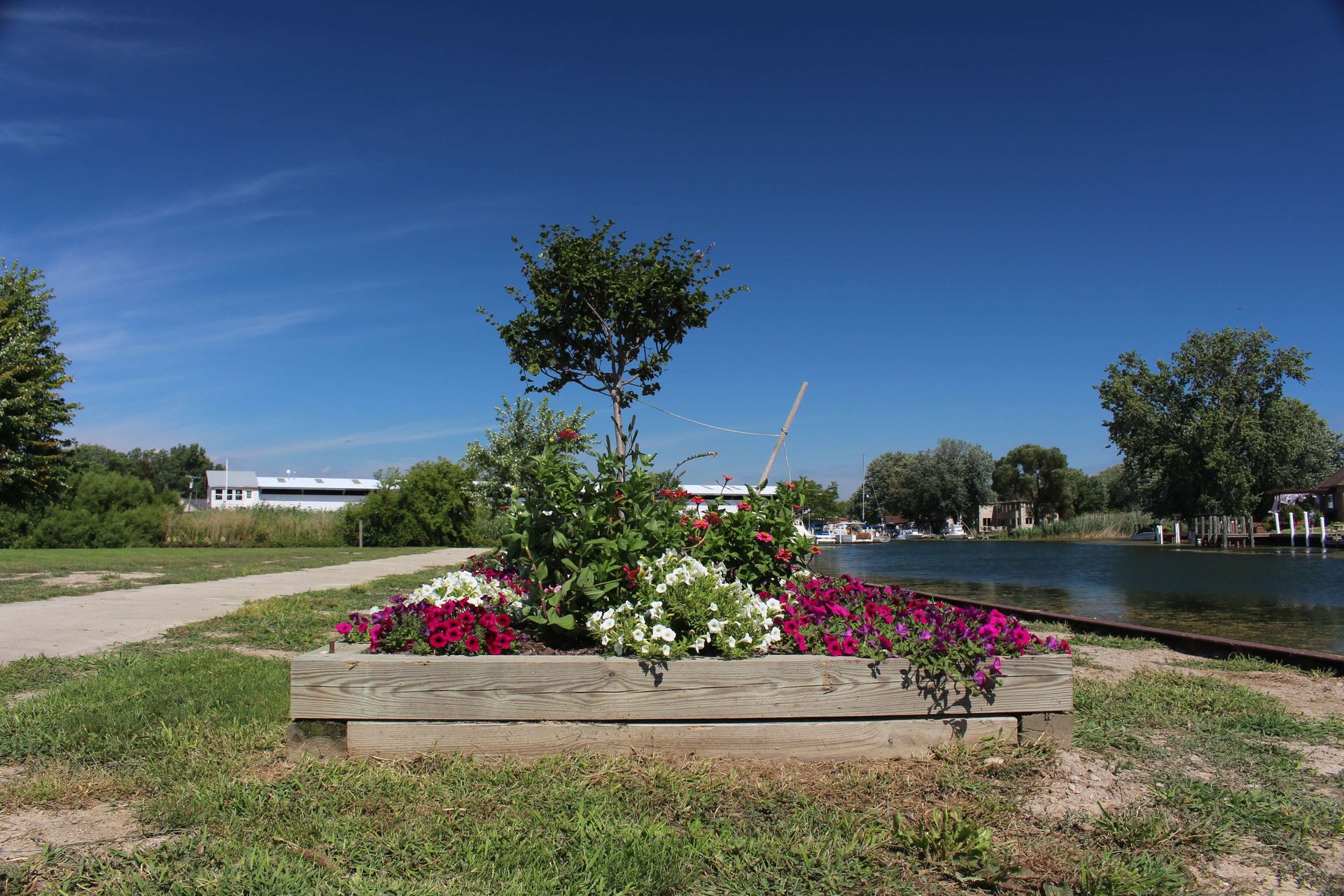 A wooden planter filled with flowers and a tree in a park.