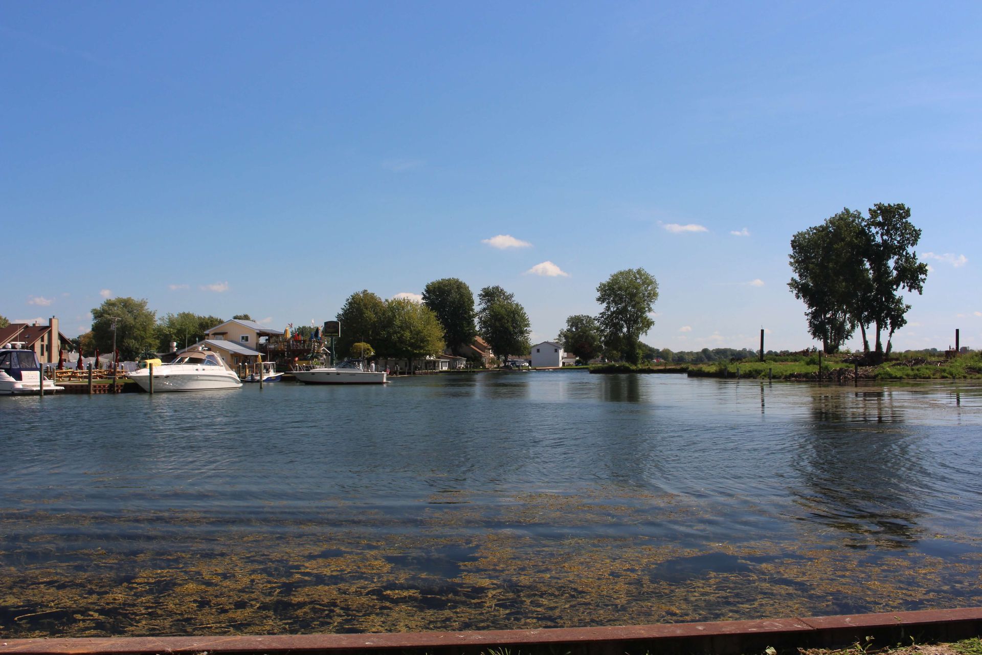 A lake with boats in it and trees in the background