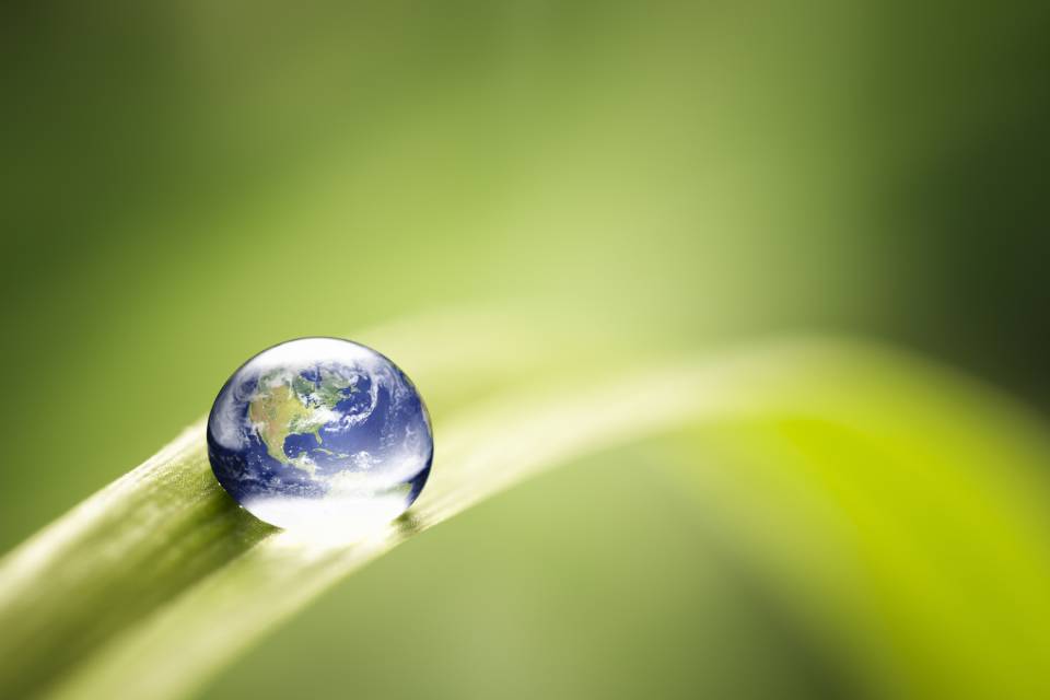 vernici eco