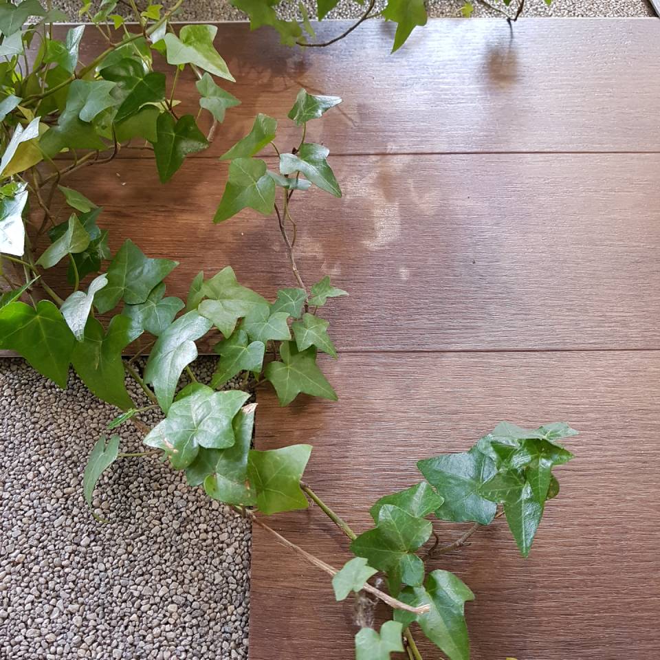 pavimentazioni in lvt