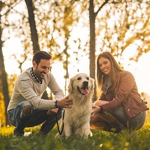 Allergic — Man and Woman Playing Their Dog  in DeSoto, TX