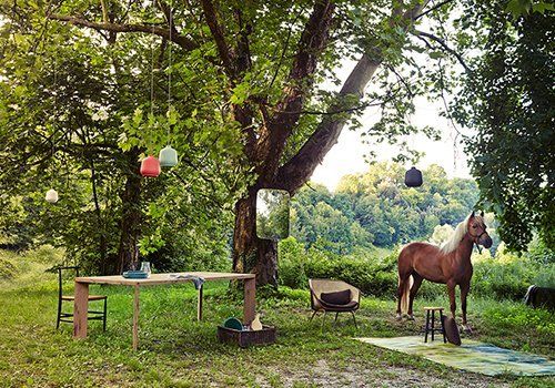 Cavallo nel prado