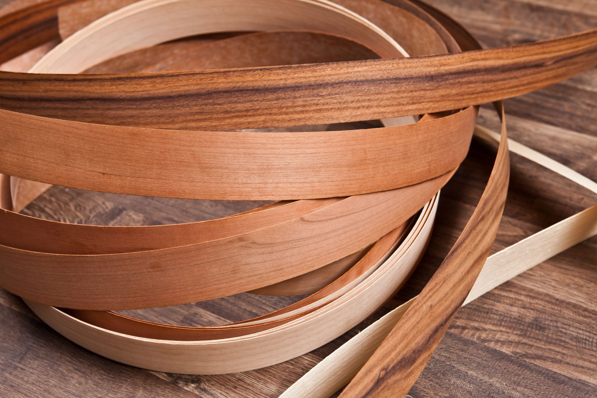 fogli in legno