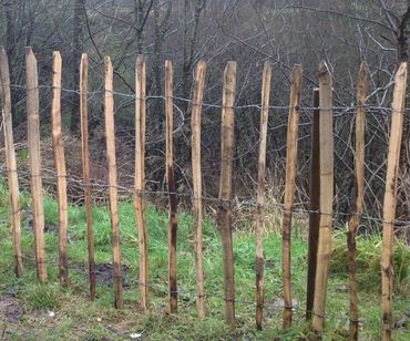 Chestnut fencing