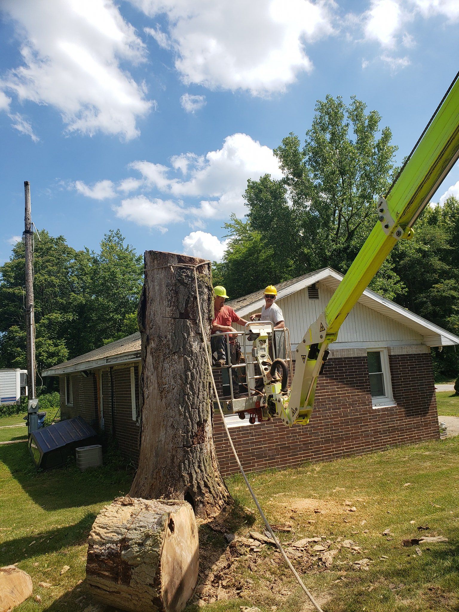 A Tree Blocking The House — Michigan City, IN — Knoll & Son’s Tree Service A Tree Blocking The House — Michigan City, IN — Knoll & Son’s Tree Service