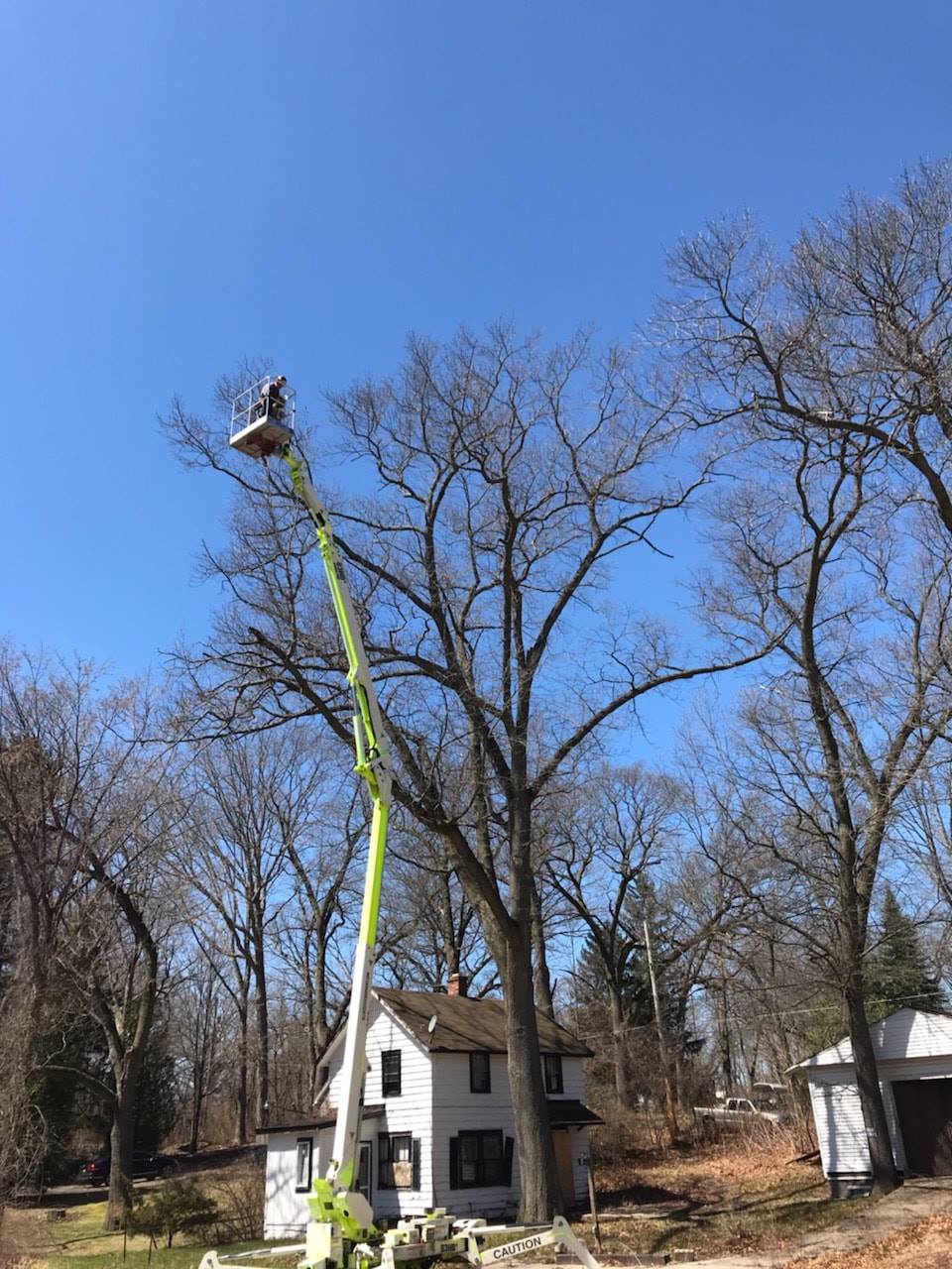 A Blue Cutter Removing Small Branches — Michigan City, IN — Knoll & Son’s Tree Service A Blue Cutter Removing Small Branches — Michigan City, IN — Knoll & Son’s Tree Service