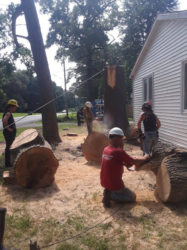 A Truck Removing Tree Stump — Michigan City, IN — Knoll & Son’s Tree Service A Truck Removing Tree Stump — Michigan City, IN — Knoll & Son’s Tree Service