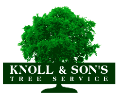 Knoll & Son’s Tree Service Knoll & Son’s Tree Service