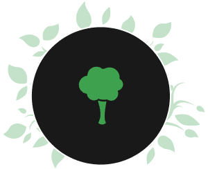 tree icon